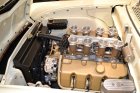 SEMA-Show-2017-387