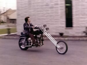 pan-head-chopper (1)
