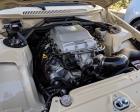 sema_show_2019_0319
