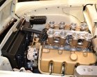 SEMA-Show-2017-387