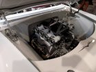 sema-show-2017-831